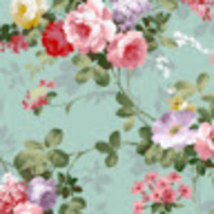 Meet your Posher, Isabella